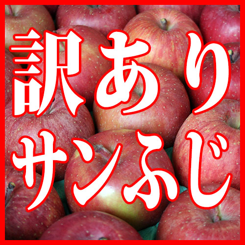 安曇野市産【訳あり】サンふじりんご 5kg