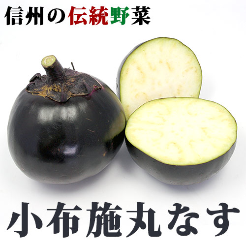 小布施丸なす 3kg(8～10玉) 信州の伝統野菜