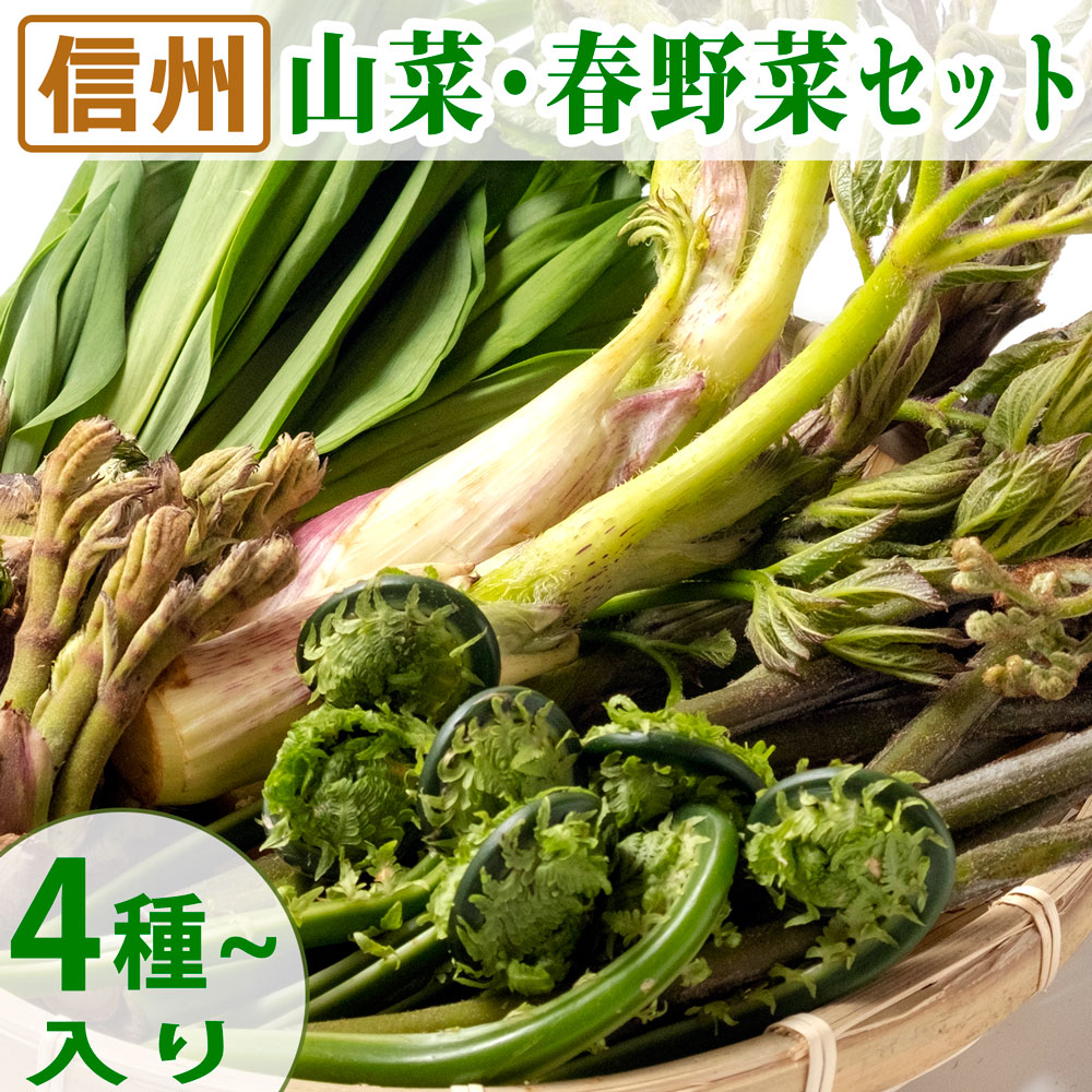 信州の山菜と春野菜のセット（4種類以上入り）
