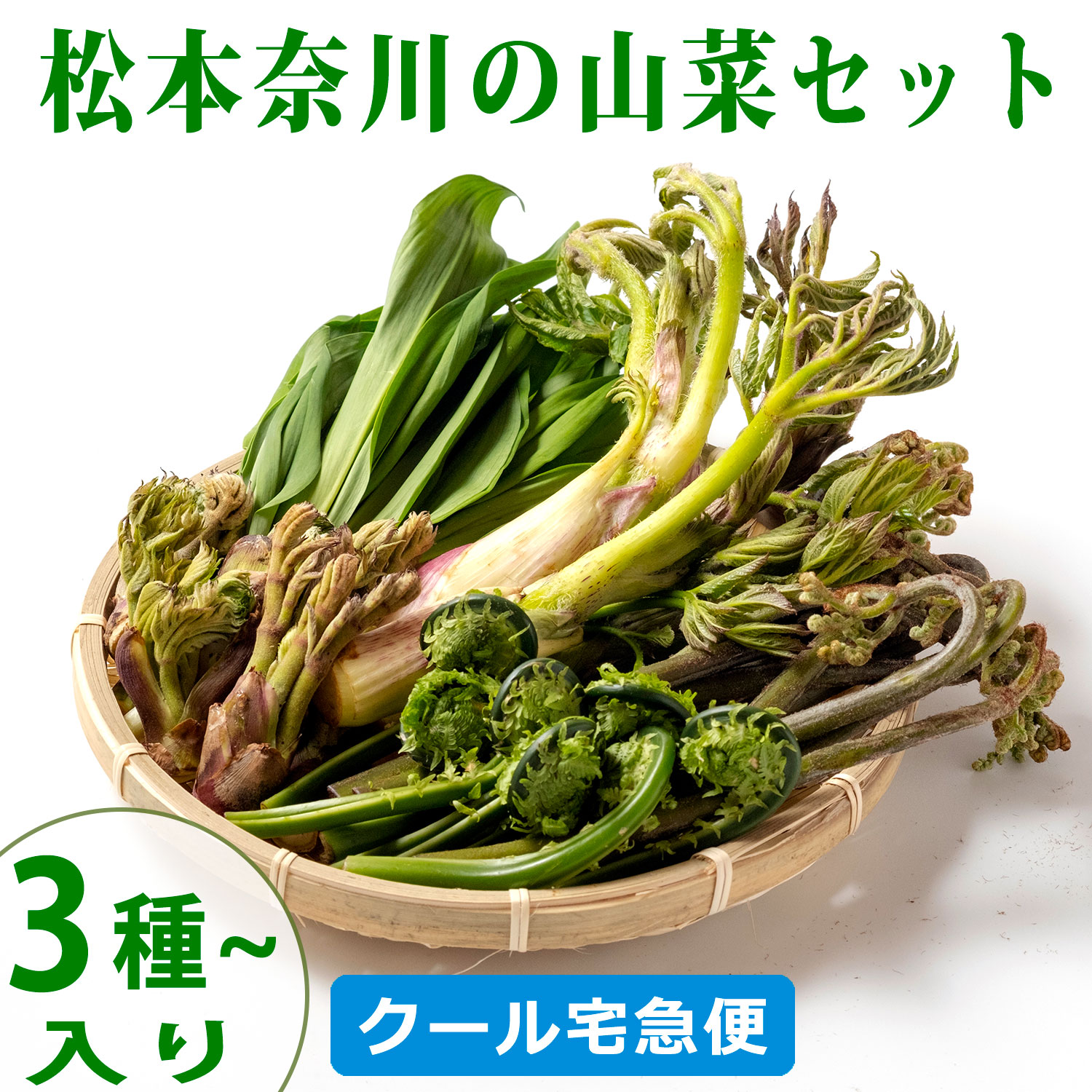 松本奈川の山菜セット（3種以上入り）現地から直送