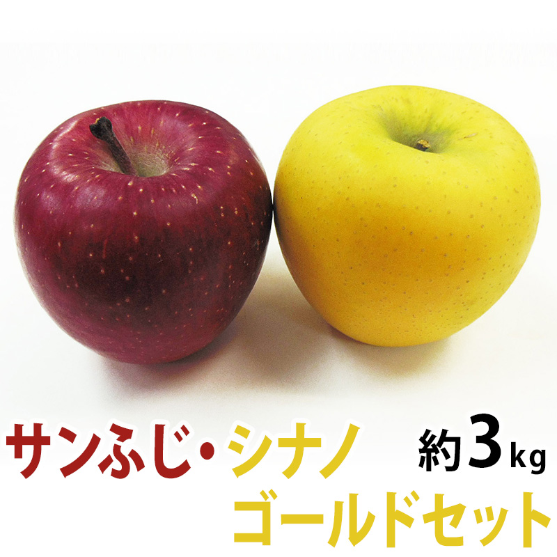 長野県産 サンふじ＆シナノゴールド 3kg(9~10玉)