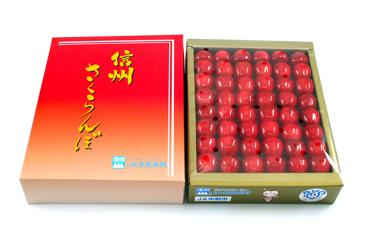 長野県中野市産さくらんぼの贈答用化粧箱（300g）入り。佐藤錦・高砂・香夏錦からご用意します。